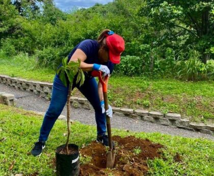 Nachhaltige Wiederaufforstung: Einen Baum pflanzen in Costa Rica