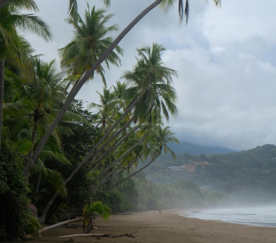 Uvita 1